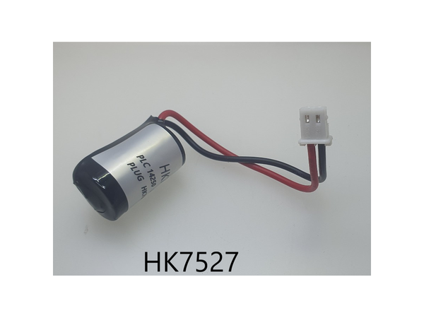PLC 14250 3V LITHIUM+ PLUG